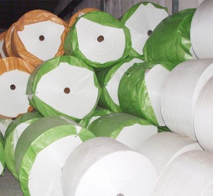 PP Woven Sack Roll UV diperlakukan 650D - 2000D White Polypropylene Fabric